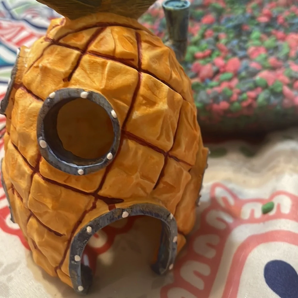 I’m am selling a small aquarium with a PLASTIC plant and a SpongeBob pineapple